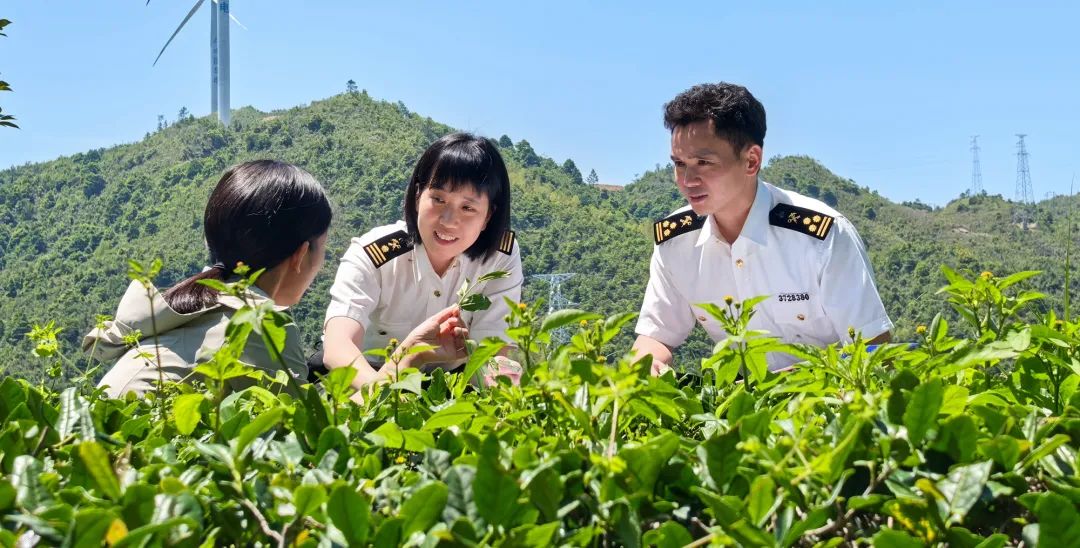 前五个月，泉州实现花岗岩出口24.7亿元！(图1)