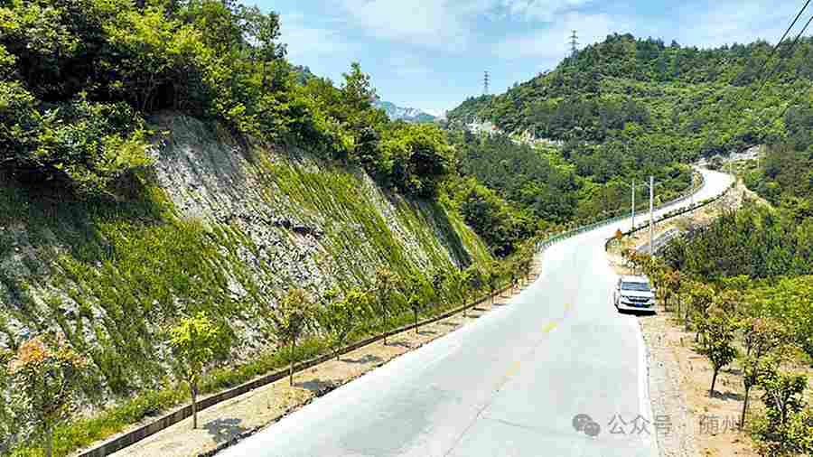 点石成“金”——随县石材产业的绿色高质量发展之路(图5)