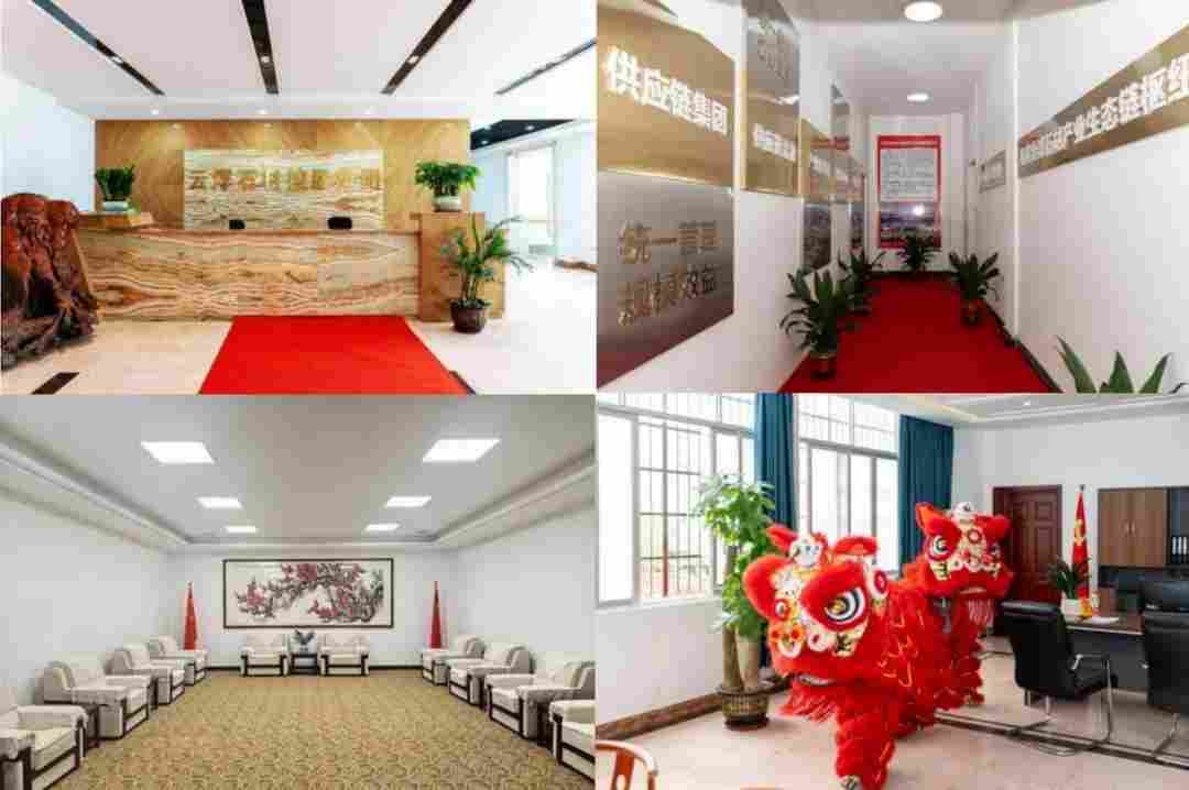 重磅！云浮石材产业转型升级项目筹备组挂牌仪式盛大举行(图9)