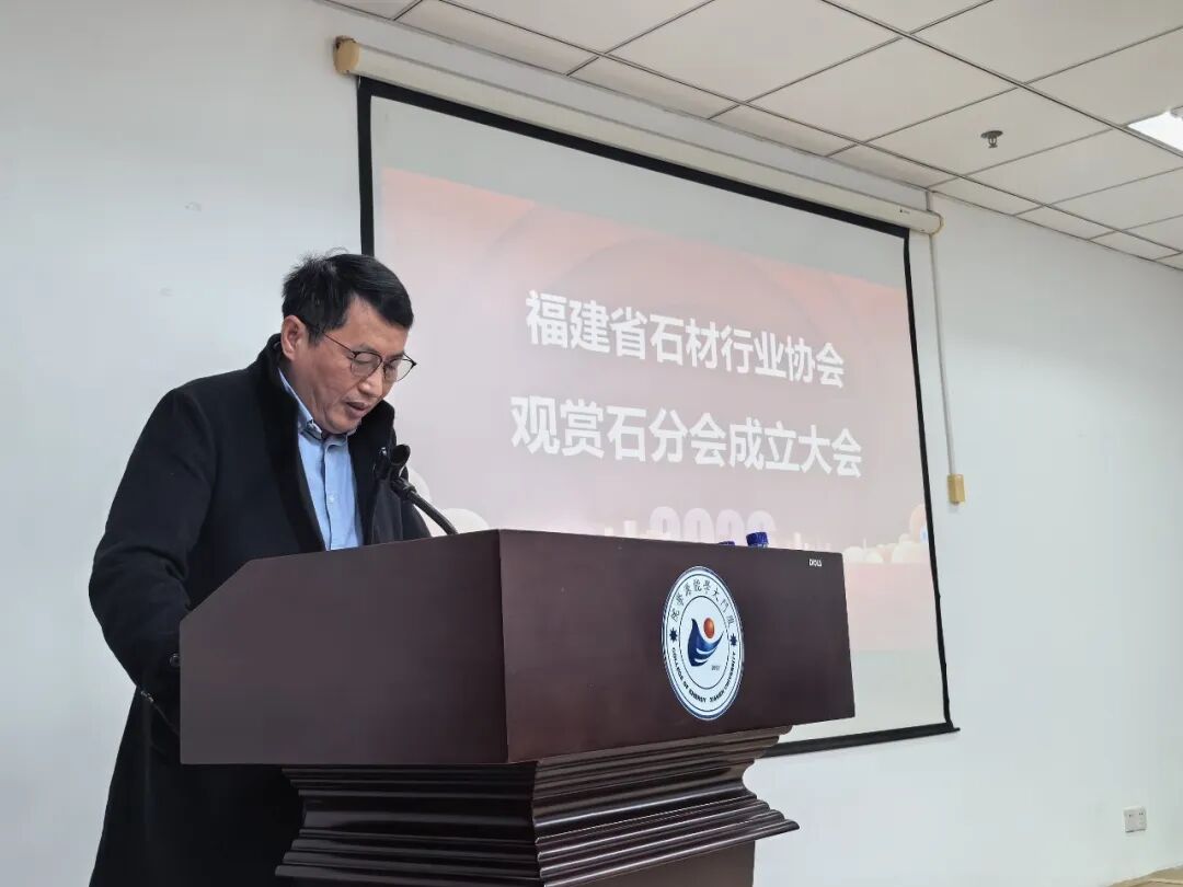绿色转型与市场拓展并进 福建石材行业绘就发展新蓝图——省石材行业协会五届四次理事会暨观赏石分会成立大会召开(图3)