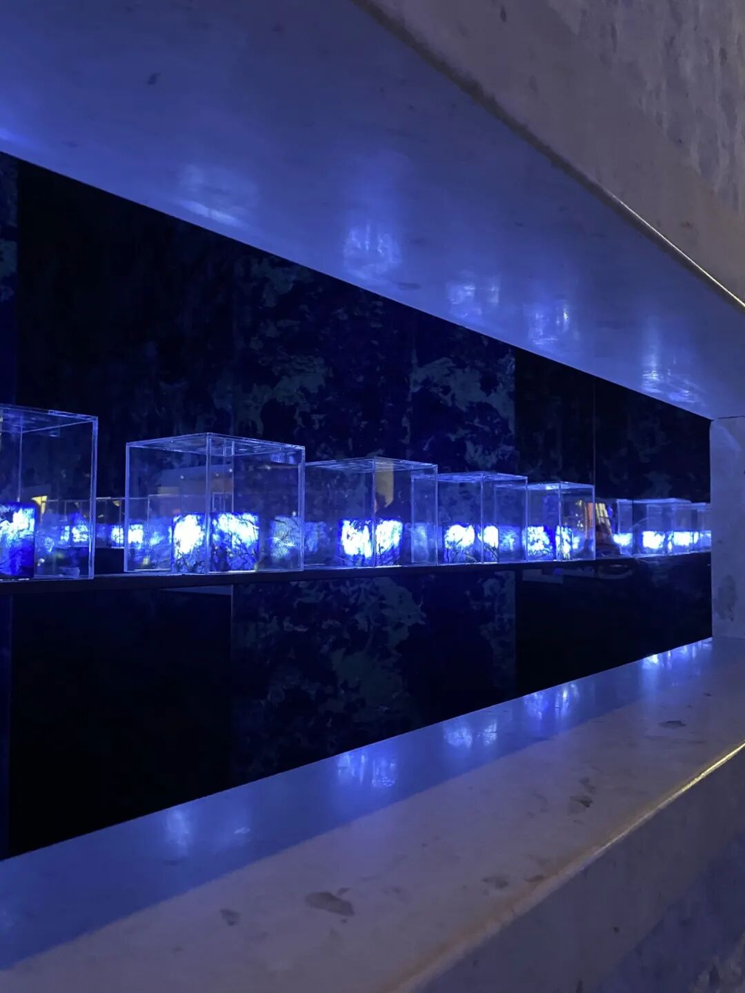 2026厦门石材展，数百张图片唤醒你心中的石材热爱(图112)