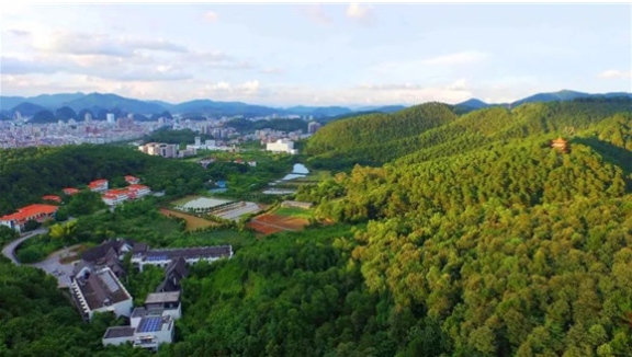 广东云浮：从一块石头到“世界石都”的400年历史！(图3)